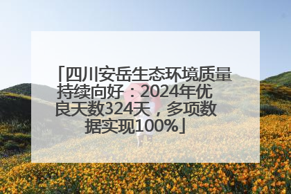 四川安岳生态环境质量持续向好：2024年优良天数324天，多项数据实现100%