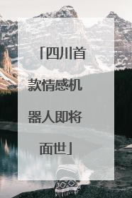 四川首款情感机器人即将面世