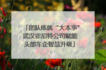 团队练就“大本事” 武汉霍尼特公司赋能头部车企智慧升级