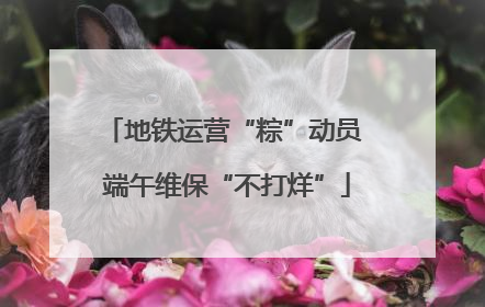地铁运营“粽”动员 端午维保“不打烊”