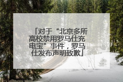 对于“北京多所高校禁用罗马仕充电宝”事件，罗马仕发布声明致歉