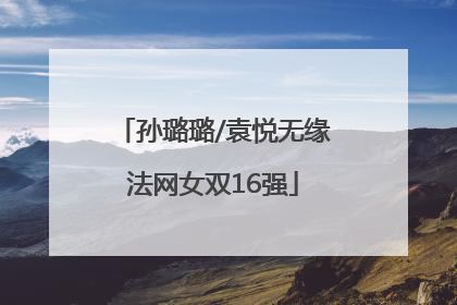 孙璐璐/袁悦无缘法网女双16强