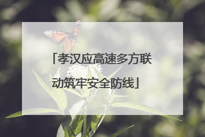 孝汉应高速多方联动筑牢安全防线