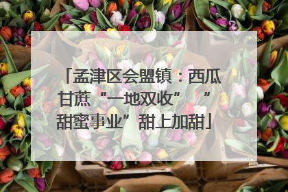 孟津区会盟镇：西瓜甘蔗“一地双收” “甜蜜事业”甜上加甜