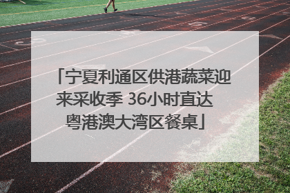 宁夏利通区供港蔬菜迎来采收季 36小时直达粤港澳大湾区餐桌