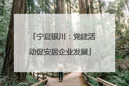 宁夏银川：党建活动促安居企业发展