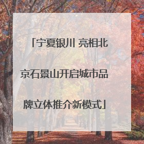 宁夏银川 亮相北京石景山开启城市品牌立体推介新模式