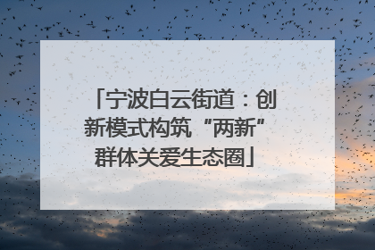 宁波白云街道：创新模式构筑“两新”群体关爱生态圈