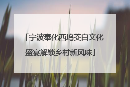 宁波奉化西坞茭白文化盛宴解锁乡村新风味