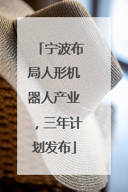 宁波布局人形机器人产业，三年计划发布