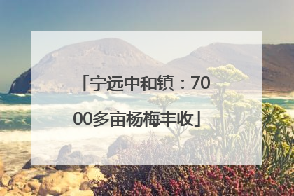 宁远中和镇：7000多亩杨梅丰收