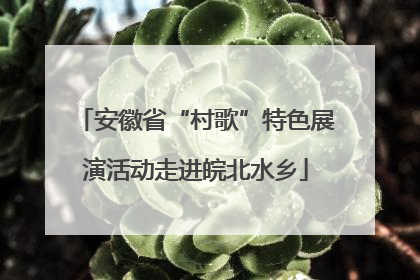 安徽省“村歌”特色展演活动走进皖北水乡