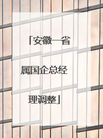 安徽一省属国企总经理调整