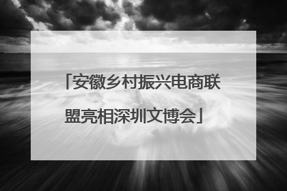 安徽乡村振兴电商联盟亮相深圳文博会