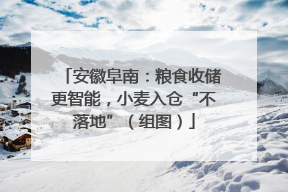 安徽阜南：粮食收储更智能，小麦入仓“不落地”（组图）