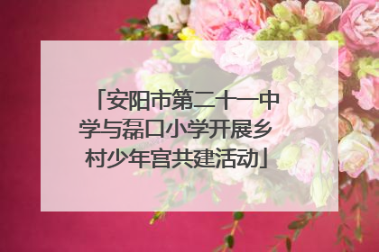 安阳市第二十一中学与磊口小学开展乡村少年宫共建活动