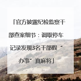 官方披露纪检监察干部查案细节：调取停车记录发现3名干部假“办事”真麻将