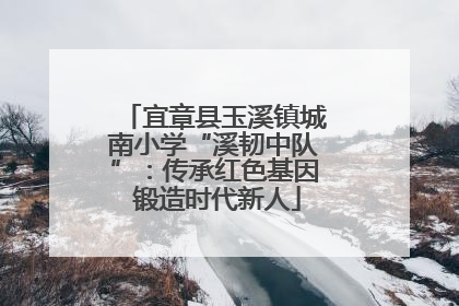 宜章县玉溪镇城南小学“溪韧中队”：传承红色基因 锻造时代新人