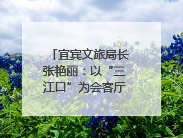 宜宾文旅局长张艳丽：以“三江口”为会客厅，打造近悦远来的国际旅游城市｜文旅局长说