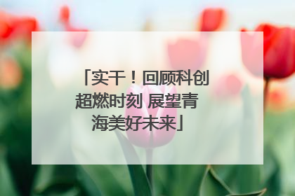 实干！回顾科创超燃时刻 展望青海美好未来