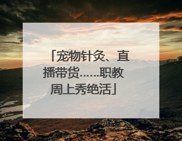 宠物针灸、直播带货……职教周上秀绝活