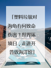 塑料垃圾对海龟有何致命伤害？世界环境日，走进开普敦海洋馆