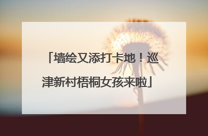 墙绘又添打卡地！巡津新村梧桐女孩来啦