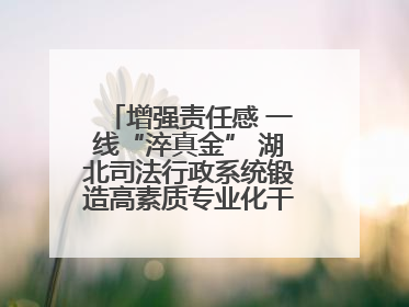增强责任感 一线“淬真金” 湖北司法行政系统锻造高素质专业化干警队伍