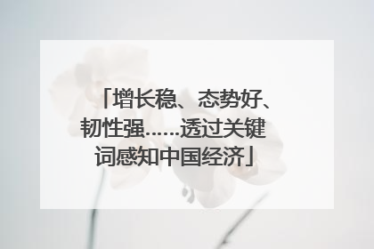 增长稳、态势好、韧性强……透过关键词感知中国经济