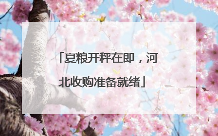 夏粮开秤在即，河北收购准备就绪