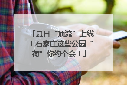 夏日“顶流”上线！石家庄这些公园“荷”你约个会！