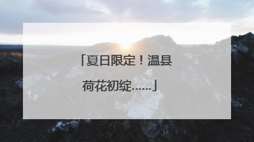 夏日限定！温县荷花初绽……