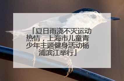 夏日雨浇不灭运动热情，上海市儿童青少年主题健身活动杨浦滨江举行
