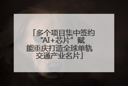 多个项目集中签约 “AI+芯片”赋能重庆打造全球单轨交通产业名片