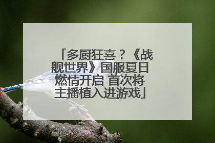 多厨狂喜？《战舰世界》国服夏日燃情开启 首次将主播植入进游戏