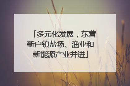 多元化发展，东营新户镇盐场、渔业和新能源产业并进