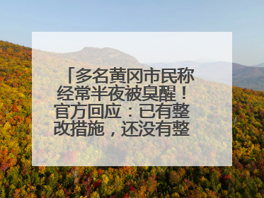 多名黄冈市民称经常半夜被臭醒！官方回应：已有整改措施，还没有整改情况