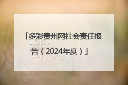 多彩贵州网社会责任报告（2024年度）