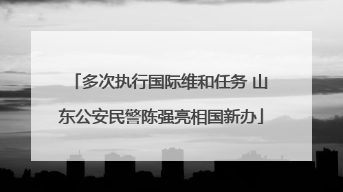 多次执行国际维和任务 山东公安民警陈强亮相国新办