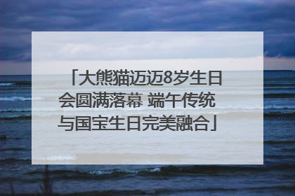 大熊猫迈迈8岁生日会圆满落幕 端午传统与国宝生日完美融合