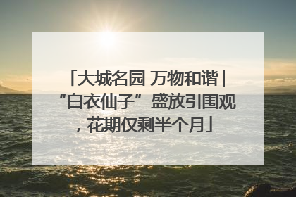 大城名园 万物和谐│“白衣仙子”盛放引围观，花期仅剩半个月
