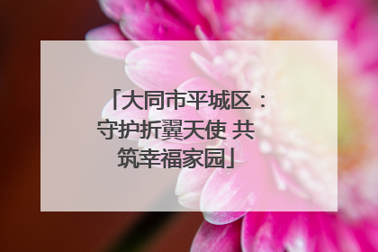 大同市平城区：守护折翼天使 共筑幸福家园