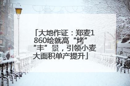大地作证：郑麦1860绘就高“烤”“丰”景，引领小麦大面积单产提升
