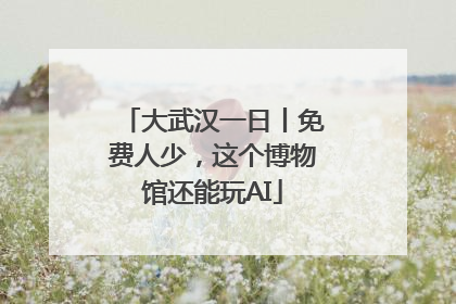 大武汉一日丨免费人少，这个博物馆还能玩AI