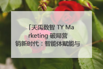 天禹数智 TY Marketing 破局营销新时代：智能体赋能与人才培育双轮驱动