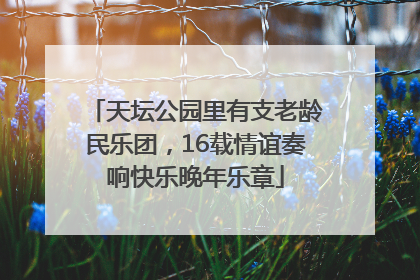 天坛公园里有支老龄民乐团，16载情谊奏响快乐晚年乐章