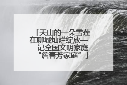 天山的一朵雪莲在聊城灿烂绽放——记全国文明家庭“詹春芳家庭”
