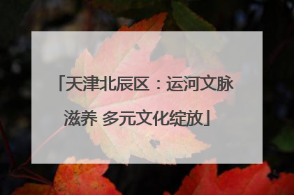天津北辰区：运河文脉滋养 多元文化绽放