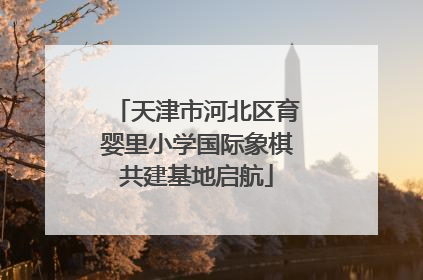 天津市河北区育婴里小学国际象棋共建基地启航