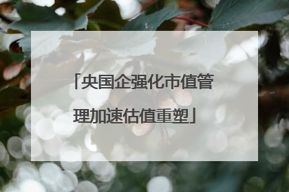 央国企强化市值管理加速估值重塑